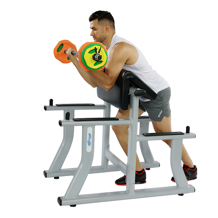 Wholesale Hot Sale High Quality Arm Curl Bench Gym Equipment Biceps Curl