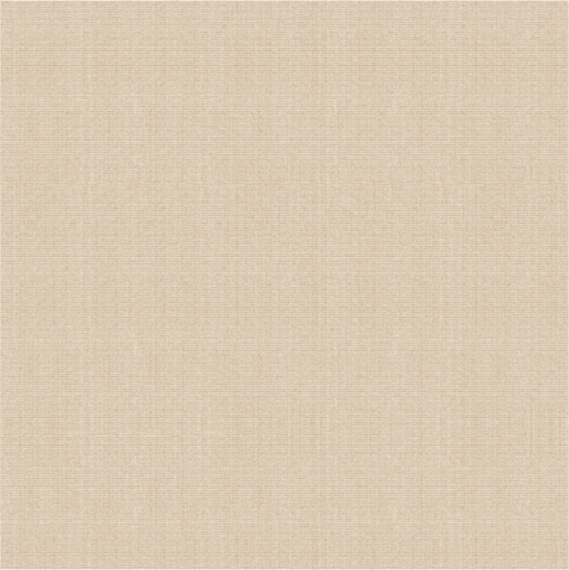 Matt Surface Non Slip Rustic Matt Porcelain Tiles 60*60cm Water Resistance