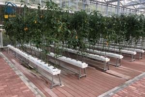 China Vegetables PVC Drainage Substrate Planting Gutter Troughs Hydroponic Trough System wholesale