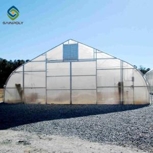 China 1.5m Plastic Shed Single Tunnel Greenhouse For Vegetables wholesale