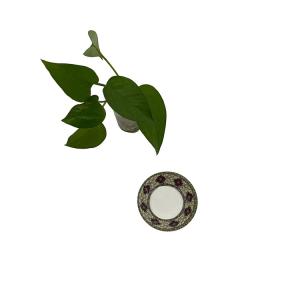China Housewares Outdoor Unbreakable Dishes Melamine Non Toxic 531 Series wholesale