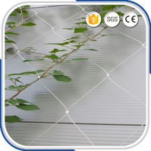 China High Grade Flexible AISI316 2.0MM Wire Rope Ferruled Mesh Green Facade Plant Climbing Net wholesale
