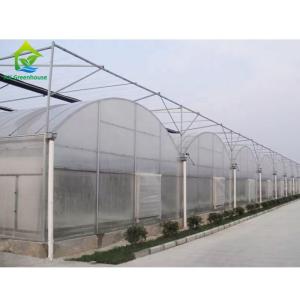 China Plastic Sheet Hydroponic Greenhouse Systems Multi Span wholesale