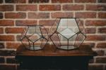 Modern Artistic Clear Geometric Glass Terrarium Flower Pot Environmental For