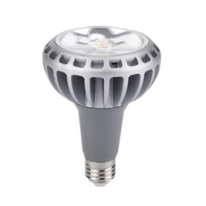 China Super bright par30 led par light dimmable 30W led par 30 wholesale