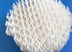 China Customizable 125X Plastic Structured Packing For Tail Gas Purification wholesale