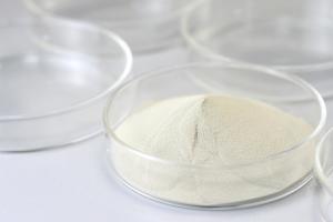 China Lactase Food Grade Enzymes β-Galactosidase Catalyze The Breakdown Of Lactose wholesale