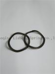 Stainless steel Nested Wave Springs