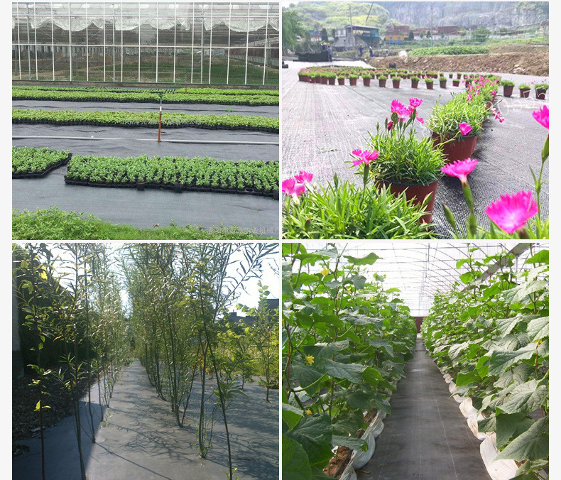 100m Biodegradable Plastic Weed Mat 3.5m Polypropylene Woven Ground Cover