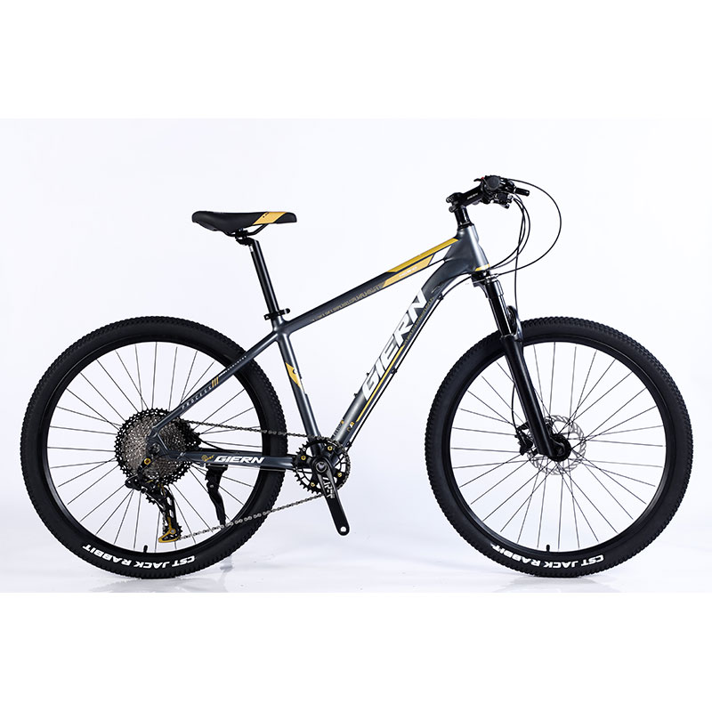 Custom Carbon Fiber Frame Mountain Bike Bicycle with Ltwoo A12 12s Gear 26/27.5/29 inch