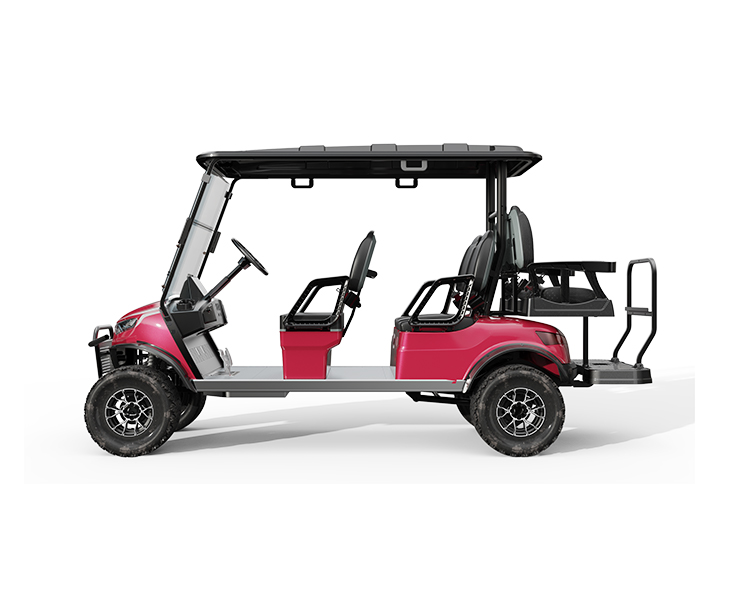 User-Friendly Electric Passenger Cars with Multiple Tire Sizes and Front Rear Disc Brake System