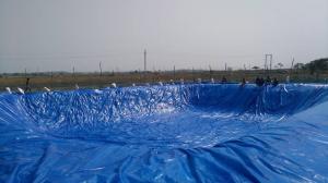 China Anti Leaking 700gsm PVC Coated Fabric For Biofloc Farming wholesale