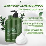 Tea Tree Aloe Vera Ginger Anti Hair Loss Shampoo Herbal Shea Butter Shampoo
