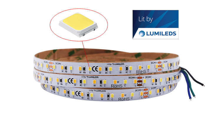 CCT Tunable Adjustable Led Strip Light WW CW Led Streifen Farbwechsel Dmmbar