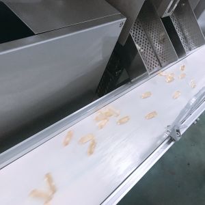 Pharmaceutical Soft Gelatin Encapsulation Machine Soft Capsule Filling Machine