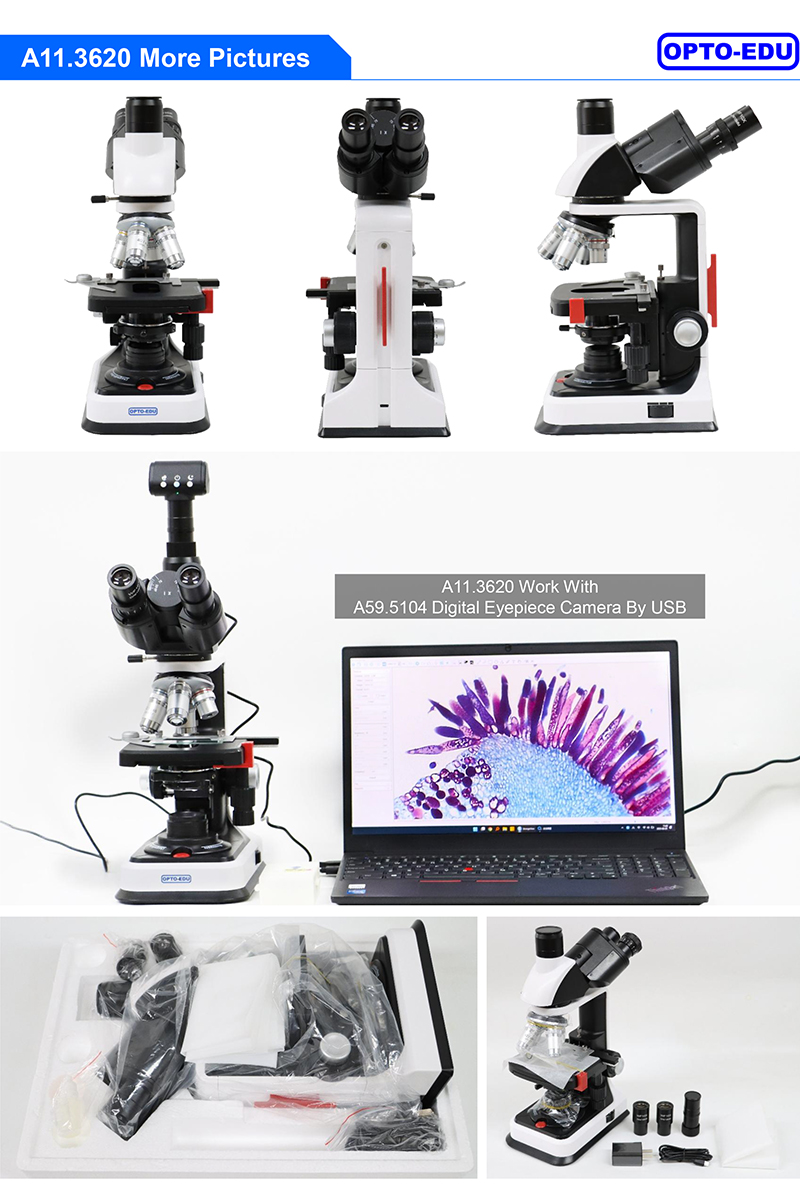 OPTO-EDU A11.3620 Trinocular Biological Microscope