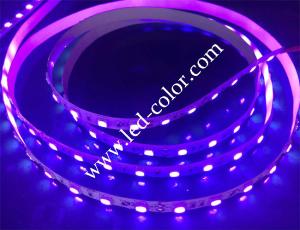 China dc12v purple color led strip wholesale