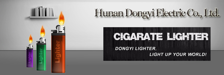 Dy-B006 Wholesale High Quality Kitchen BBQ Electric Lighter From Hunan Dongyi Factory