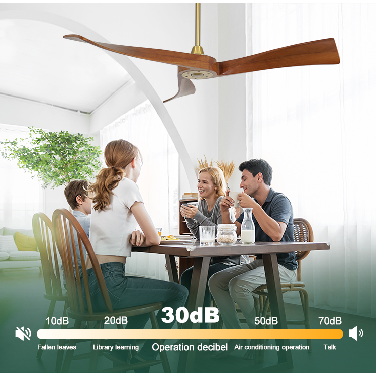 Modern Gold Metal Ceiling Fan with Smart Control and Timer Yes Wooden Blades Included