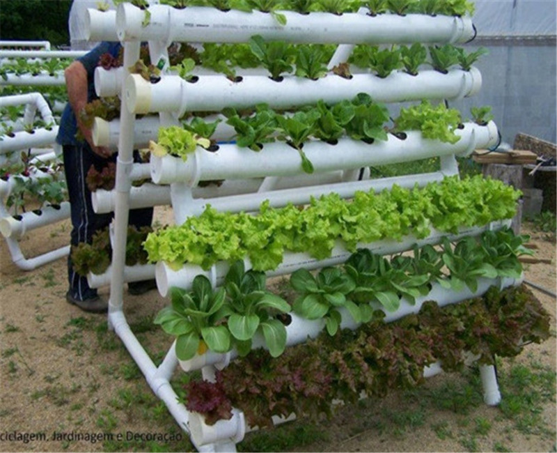 Pollution Free Commercial Hydroponic Greenhouse Saving Water / Fertilizer