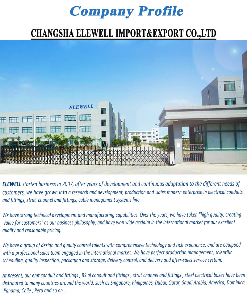Stainless Steel Cable Ladder Construction Material HDG Hot Dipped Galvanized Ladder