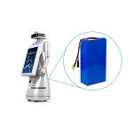 Customized Li Ion Power Battery Pack 20Ah Lifepo4 48v Battery Pack