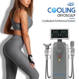 China Non Invasive Cryolipolysis Weight Loss Machine Cellulite Treatment Machine wholesale