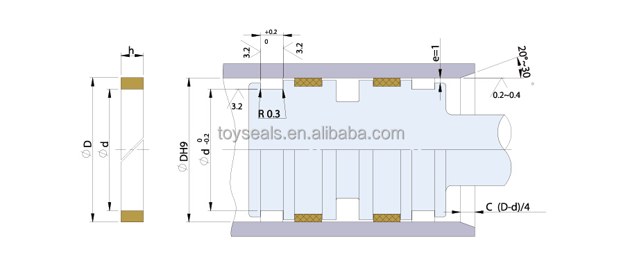 PTFE Guide Ring