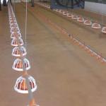 Auto Pan Feeder Steel Broiler Poultry Equipment