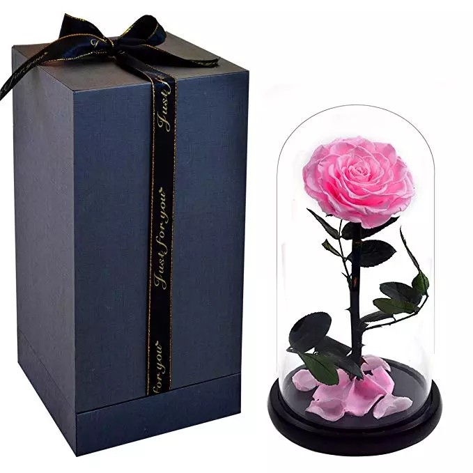Wholesale Price beauty and the beast roses preserved roses in glass dome