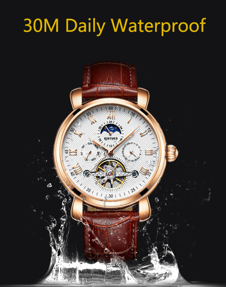 Genuine Leather Mens Winner Automatic Mechanical Watch Moon Phase Automatic Movement Mechanical Watch