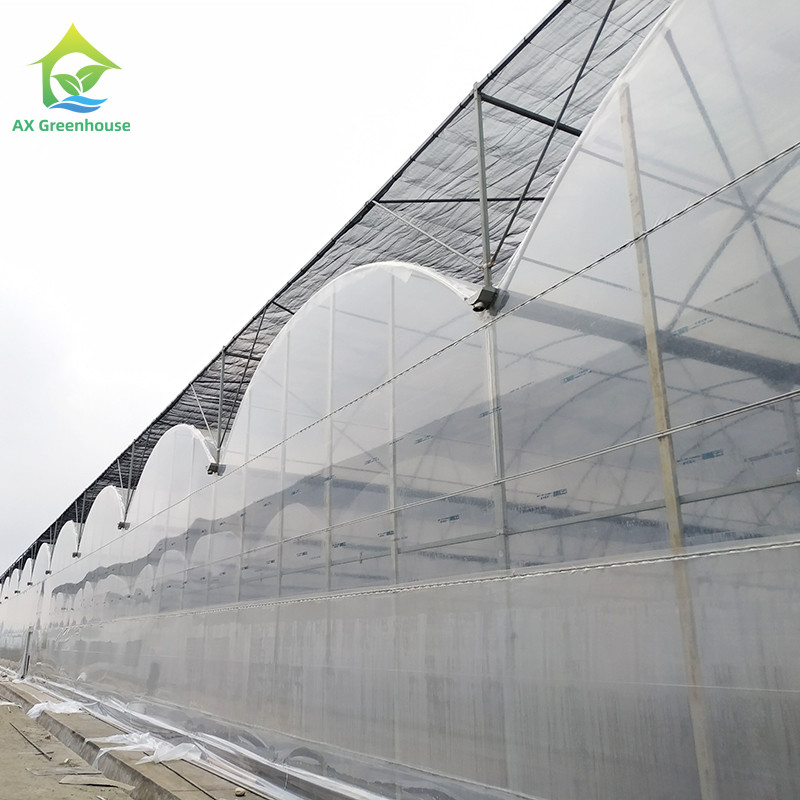 Commercial Customized Multi Span Agricultural Film Poly Tunnel Vegetable Greenhouse