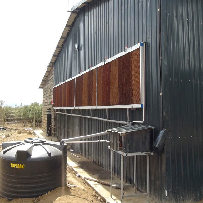 1950×2300×2000 Poultry Farm Laying Hens Cage A Type 3,4 Tiers Egg Layer Chicken Cages For Chicken Coops