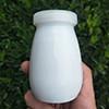 9 Cameras AI-Powered Dairy Bottle Integrity Vision System