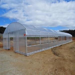 China Single Span PE Film Greenhouse TUV Low Cost Poly Tunnel Greenhouse wholesale