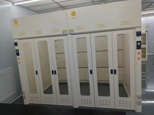 China Gray White Laboratory Walk In Fume Hood With Glass Doors For Ventilation Equipment wholesale