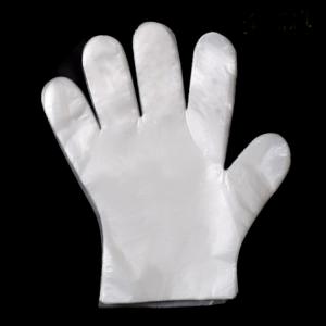 China Professional Large Disposable Gloves Food Service / Plastic Gloves For Food Preparation wholesale