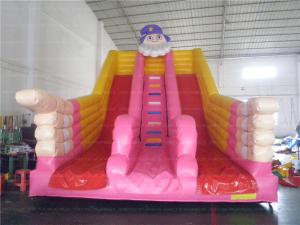 China Santa Inflatable Slide (CYSL-10) on sale