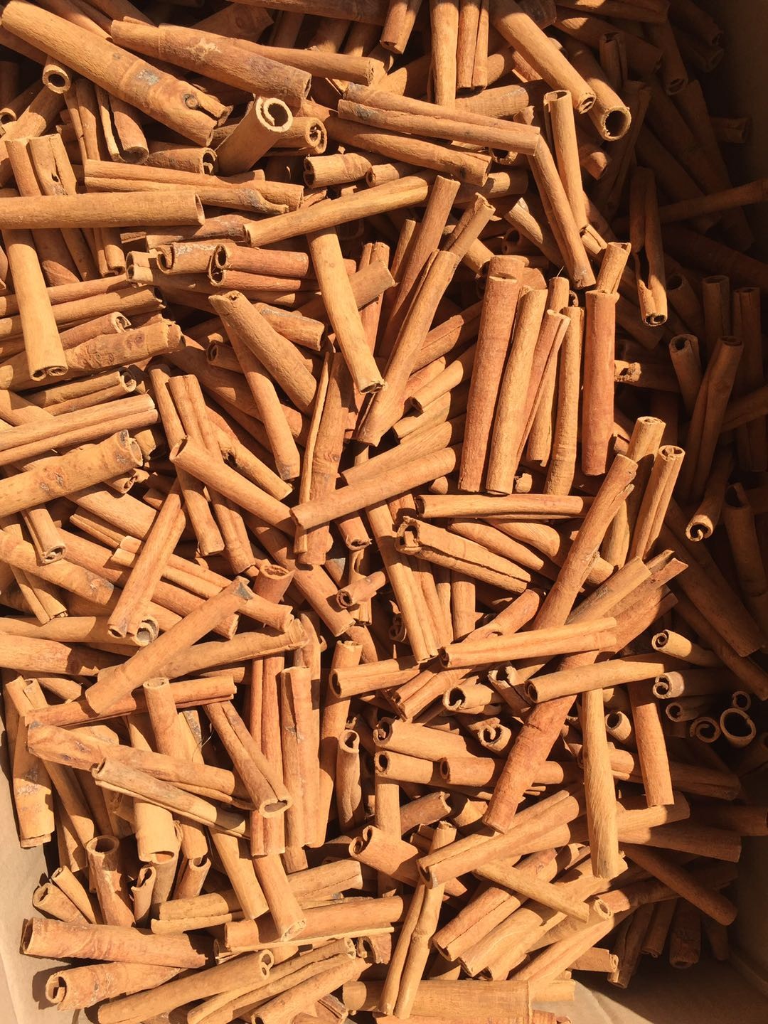 Yellow Brown Cigarette Cassia Herbs And Spices 8cm 10cm 12cm