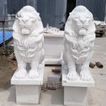 White Marble Roaring Lion Statues Western Style Entrance Animal Sculpture