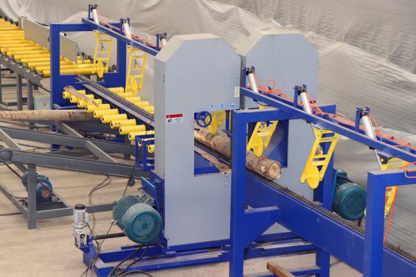 Automatic Wood Bandsaw Twin Vertical Band Sawmill Equipment for log cutting