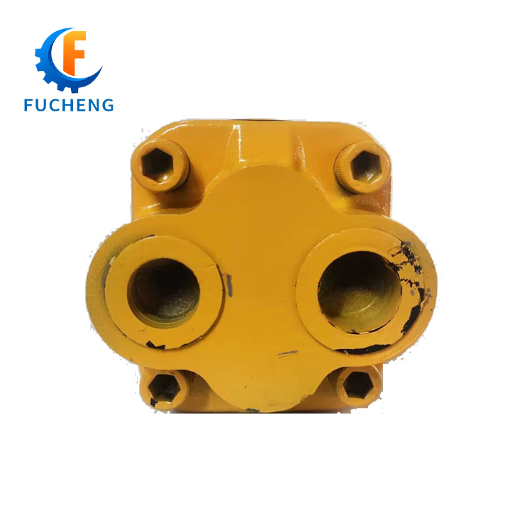 100% Industrial Machinery Fucheng Series Double Direction of Rotary Hydraulic Gear Pump
