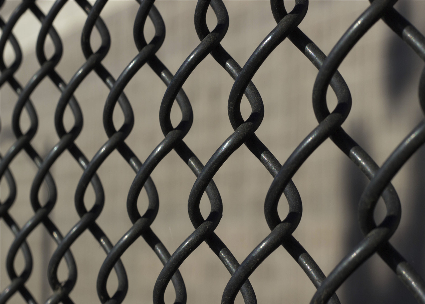 Vinyl Coated 6 feet Chain Link Fence/Chain Link Fabric