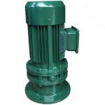 Vertical Planetary Cycloidal Gear Motor Reducer Flange Mounted