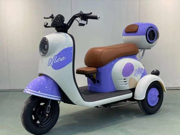 Fat Tyre Electric Scooter Tricycle 14 Inch 48v 500w 20Ah Electric Chariot Scooter