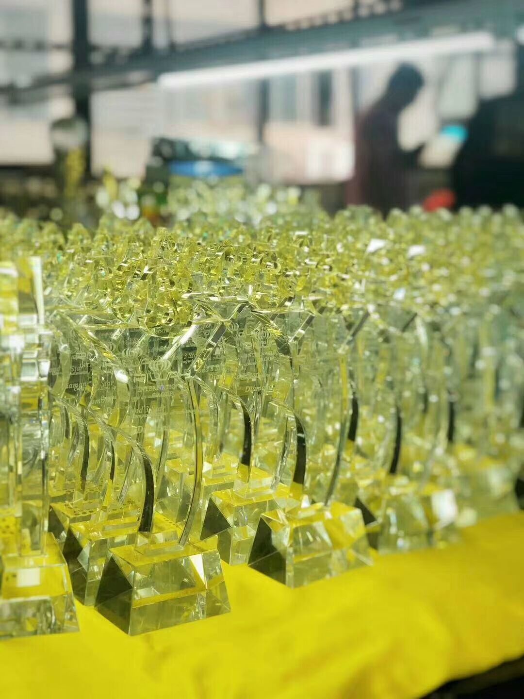 K9 Crystal Glass Awards For Student School Activities / Sports Competition Winners