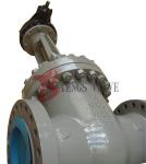 Petrochemical Industry Cast Steel Gate Valve 600LB Bolted Bonnet Design
