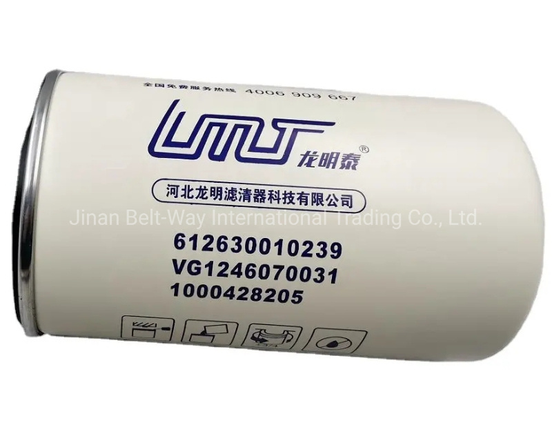 Cheap Price Sinotruk HOWO Dump Truck Oil Filter Vg1246070031