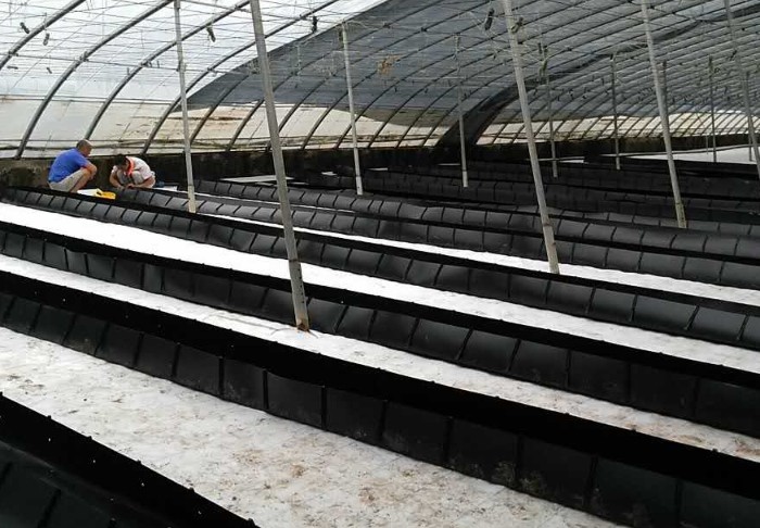 Soilless Growing System PP Growing Trough Colletcing Trough Black Growing Tomatoes Rose Cucumbers