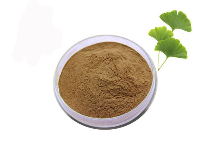 Regulate Blood Fat 24/6 Ginkgo Biloba Standardized Extract